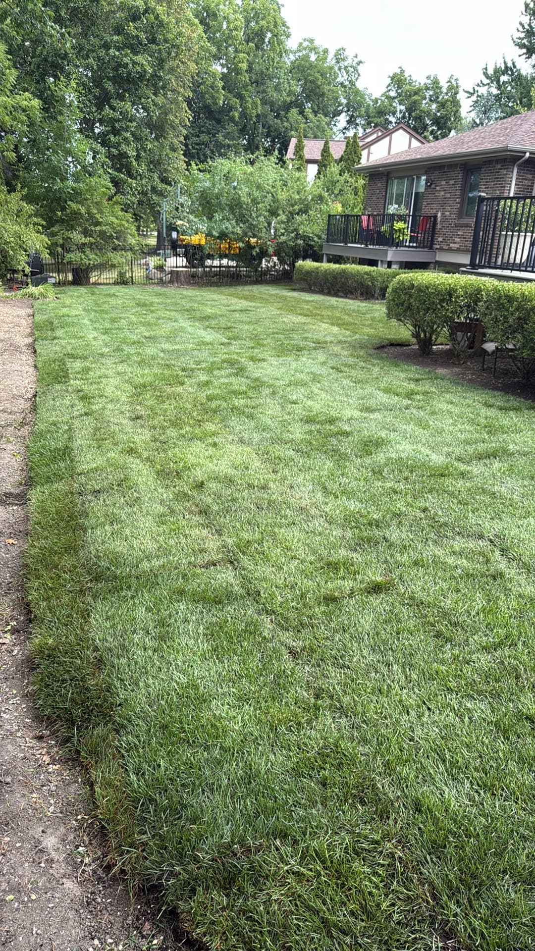 Backyard sod installation in Birmingham, Mi